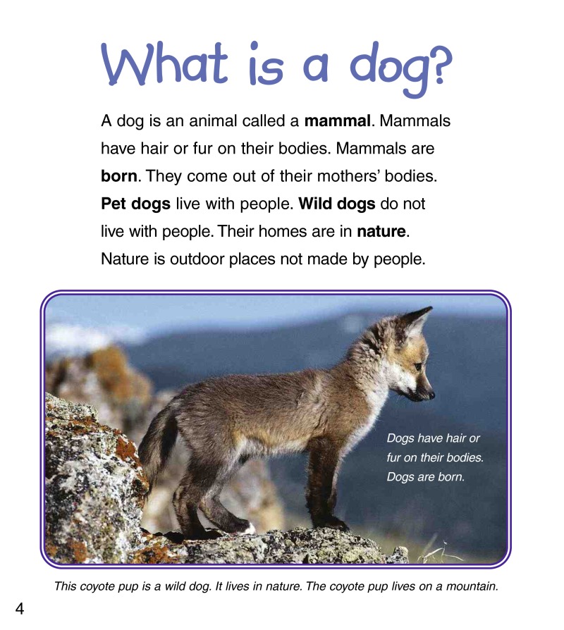 Wild and Pet Puppies — page 1