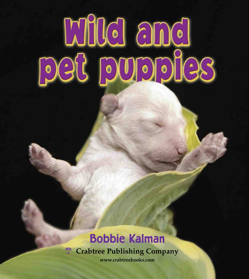 Wild and Pet Puppies book cover