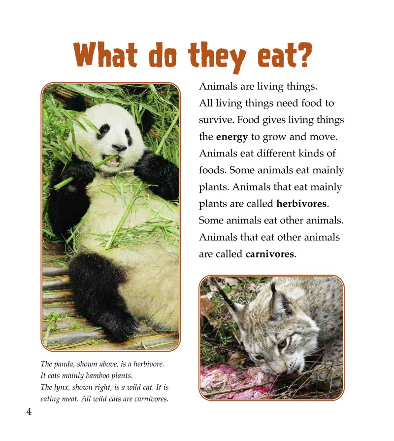 What is an Omnivore? — page 1