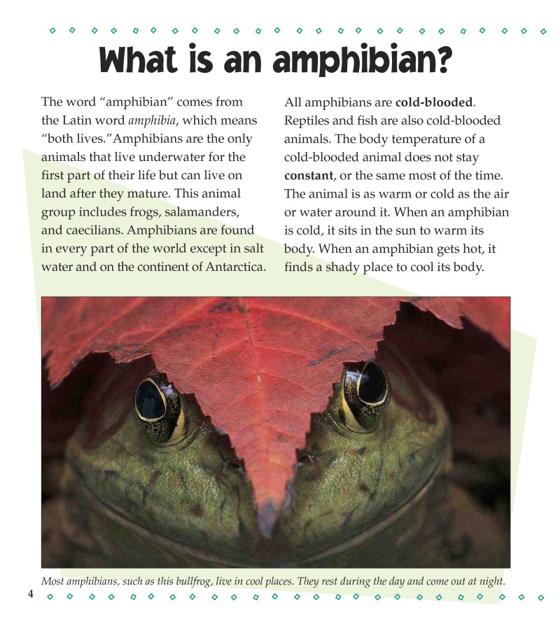 What is an Amphibian? — page 1