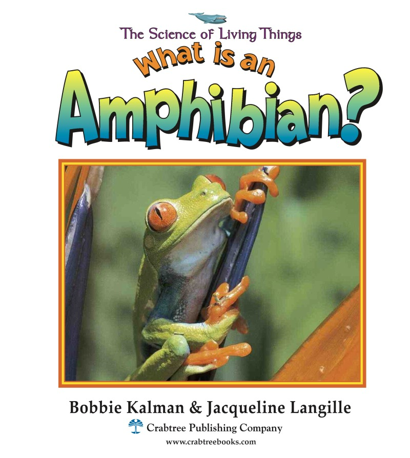 What is an Amphibian? book cover