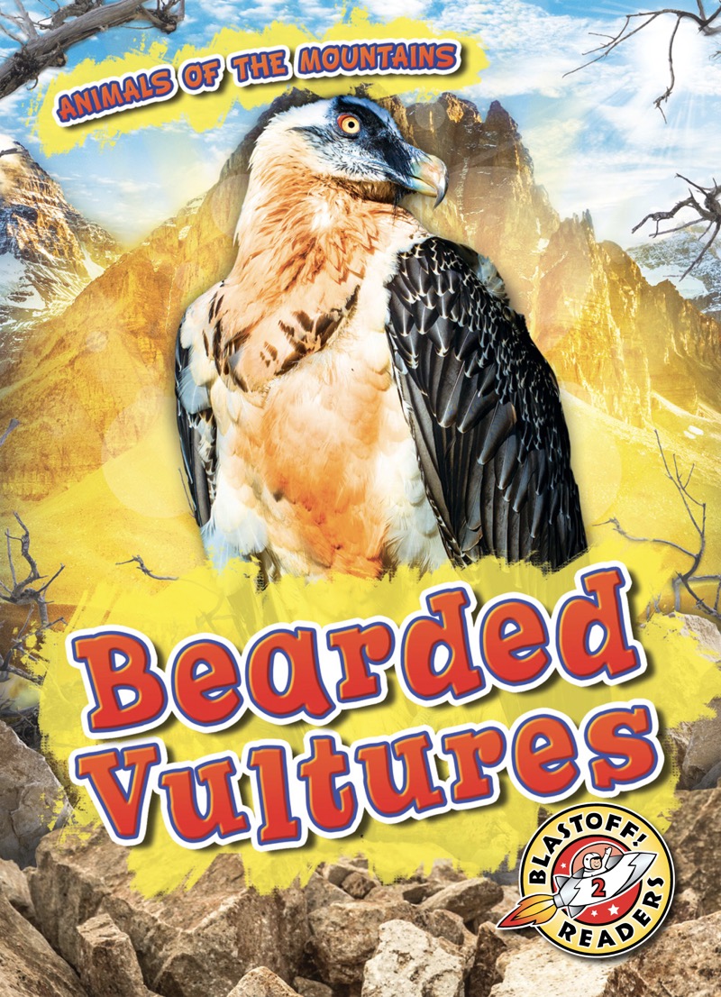 Bearded Vultures book cover
