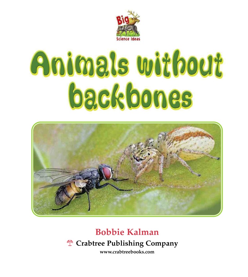 Animals Without Backbones book cover