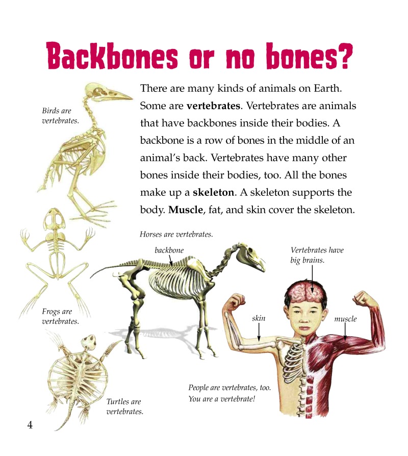 Animals Without Backbones — page 1