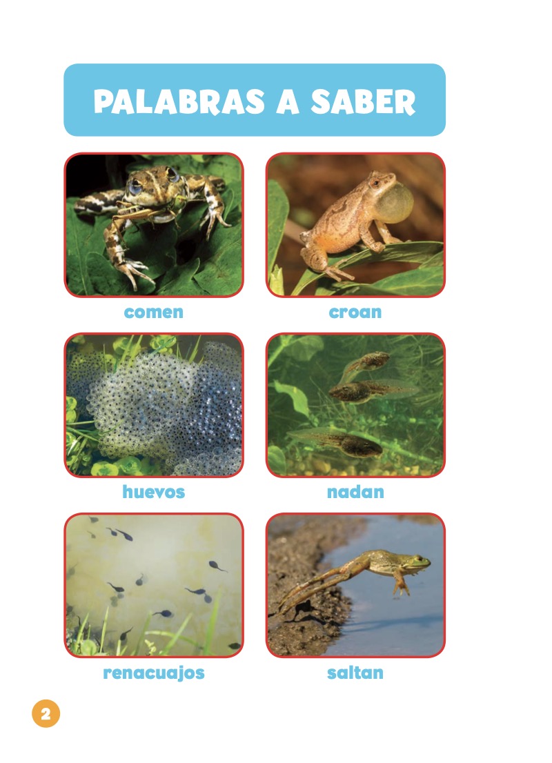 Las ranas — page 1