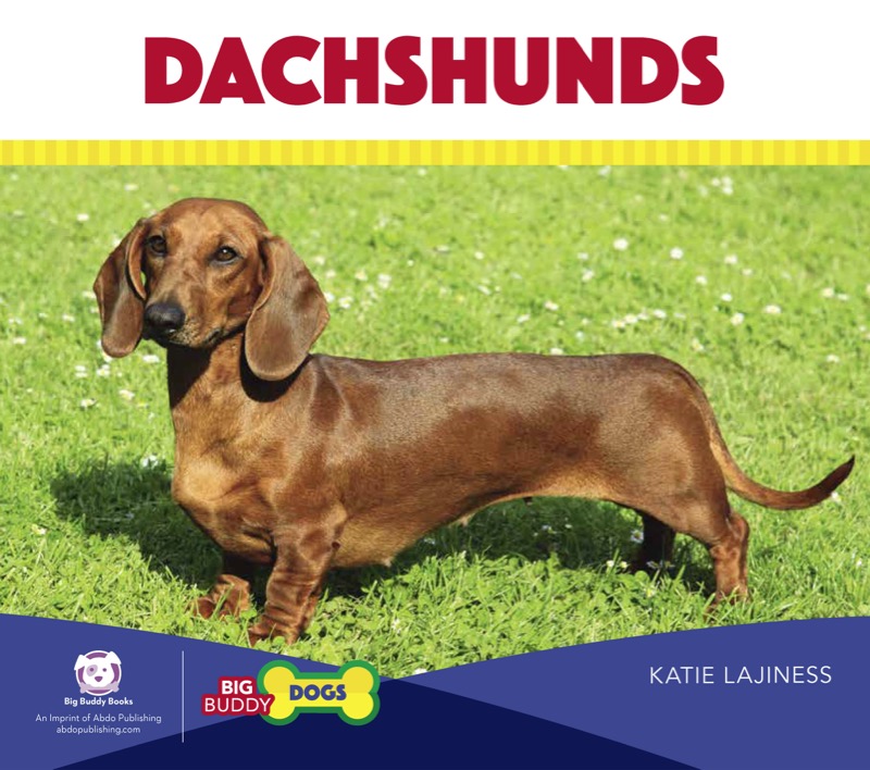 Dachshunds book cover