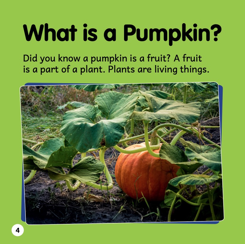 Full STEAM Ahead!: From Seed to Pumpkin — page 1
