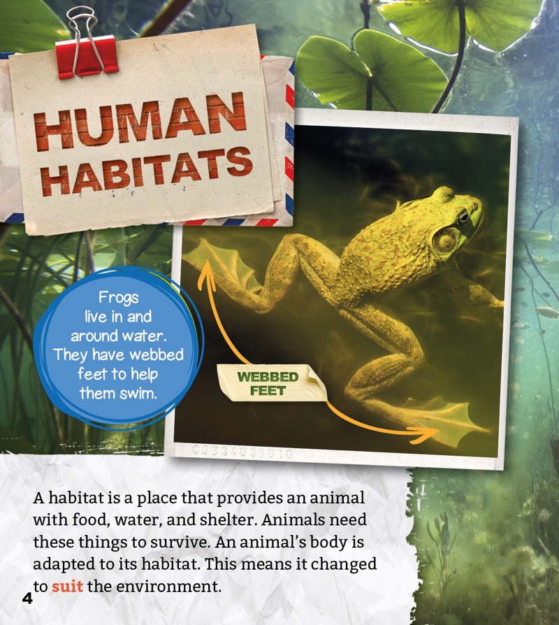 Human Habitats: Life in the City — page 1