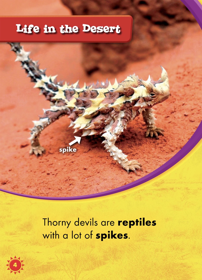 Animals of the Desert: Thorny Devils — page 1