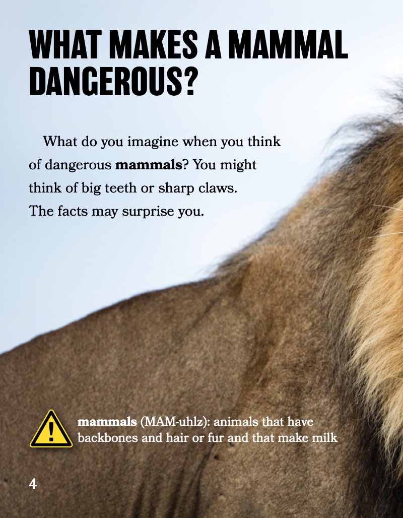 Dangerous...or Not?: Bats and Other Mammals — page 1