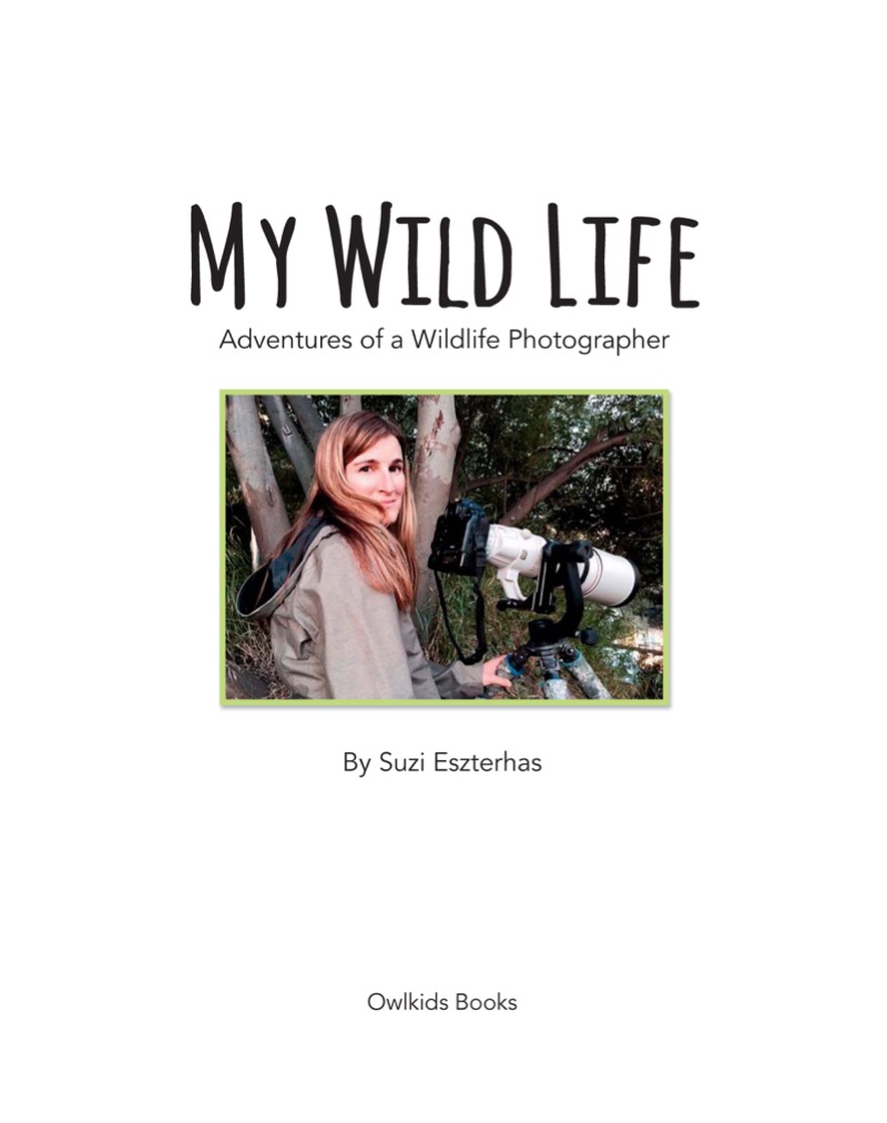 My Wild Life: Adventures of a Wildlife Photographer book cover