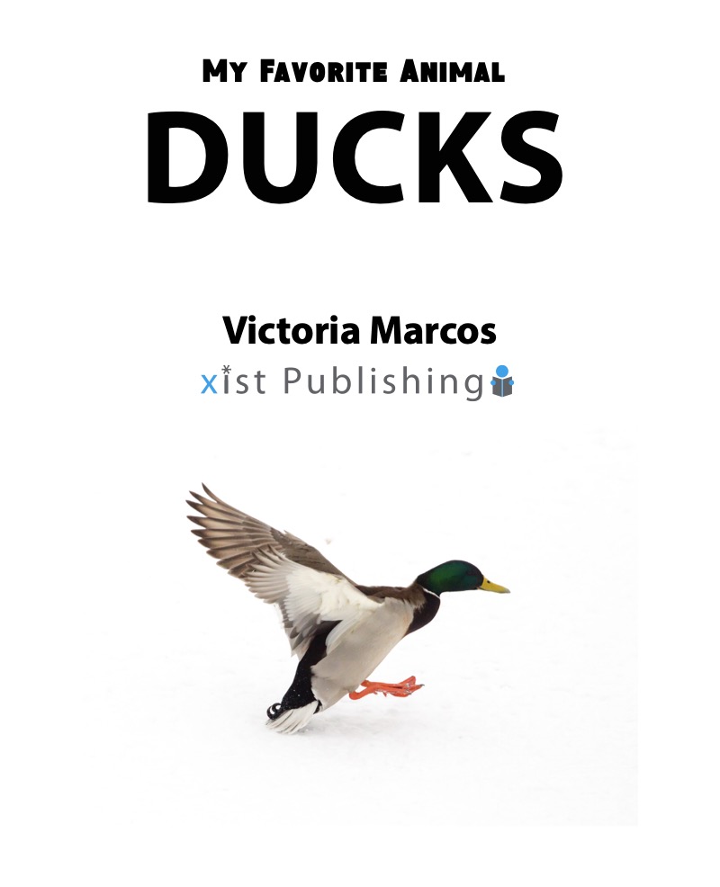 My Favorite Animal: Ducks book cover