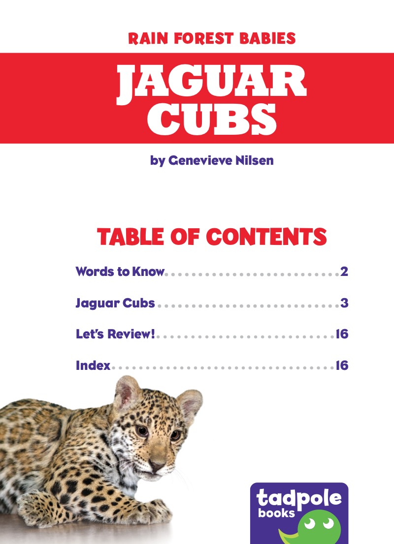 Rain Forest Babies: Jaguar Cubs book cover