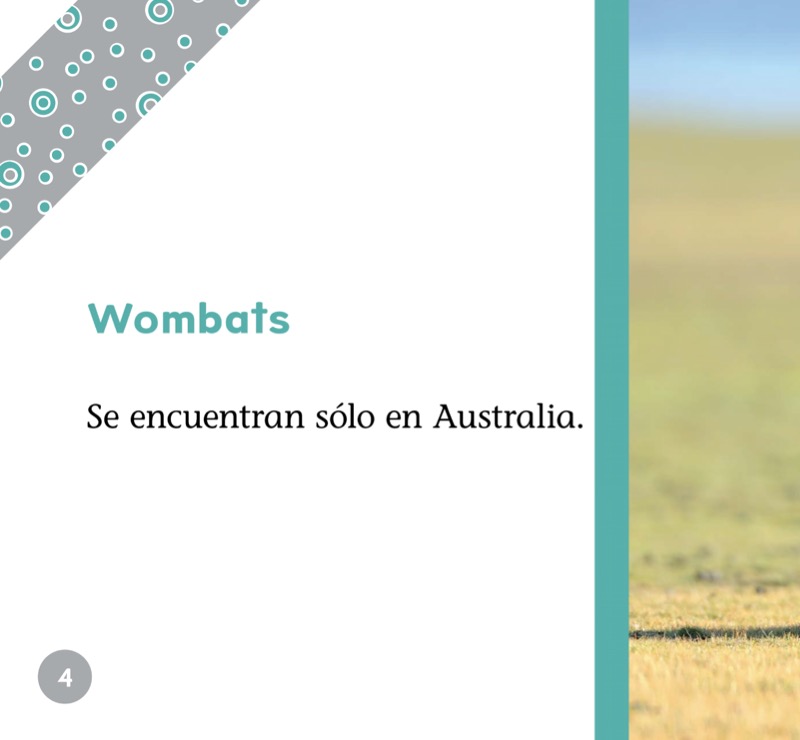 Animales nocturnos: Wombats — page 1