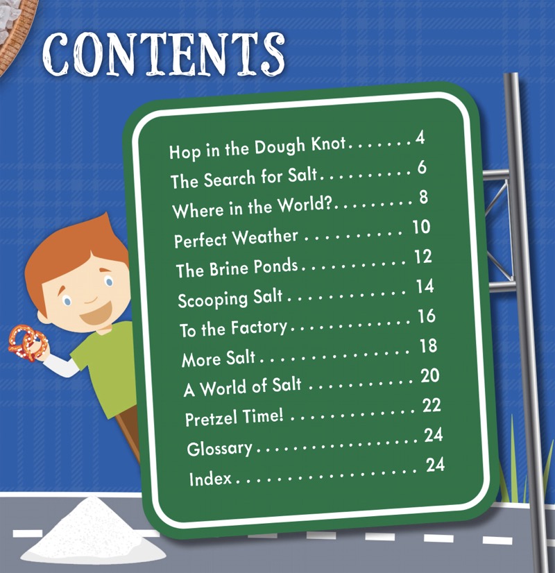 Drive Thru: The Search for Salt book cover