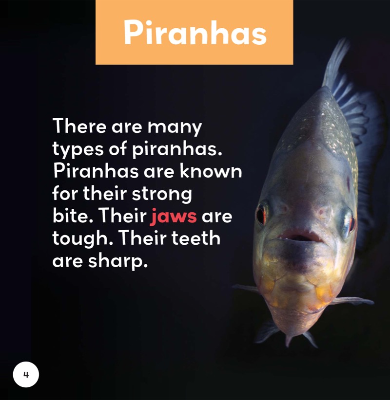 Freshwater Fish: Piranhas — page 1