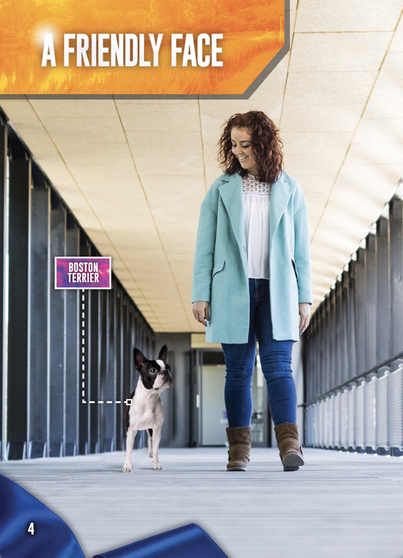 Dog Groups: Non-sporting Dogs — page 1