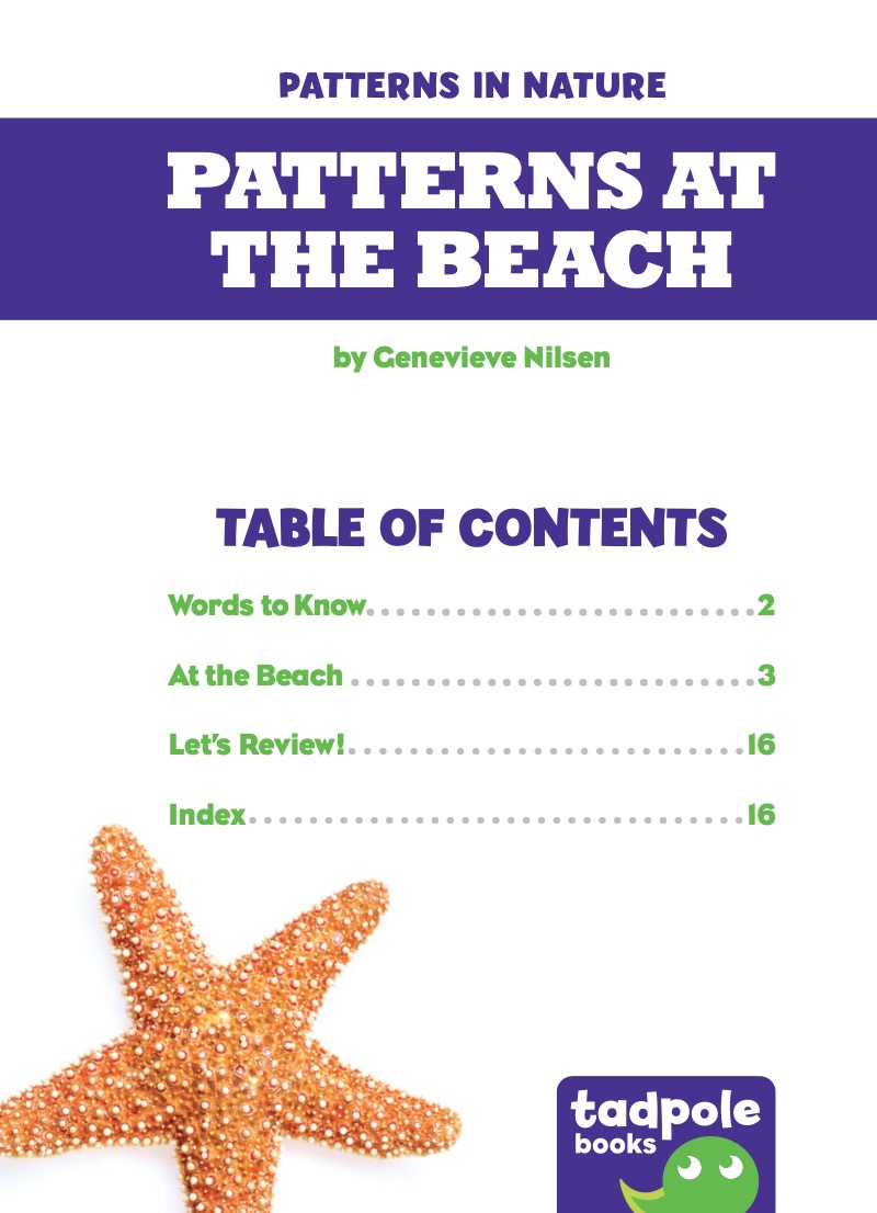 Patterns at the Beach book cover