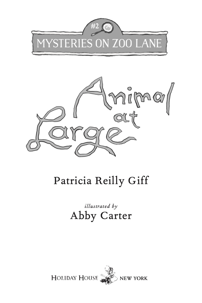 Mysteries On Zoo Lane: Animal at Large book cover