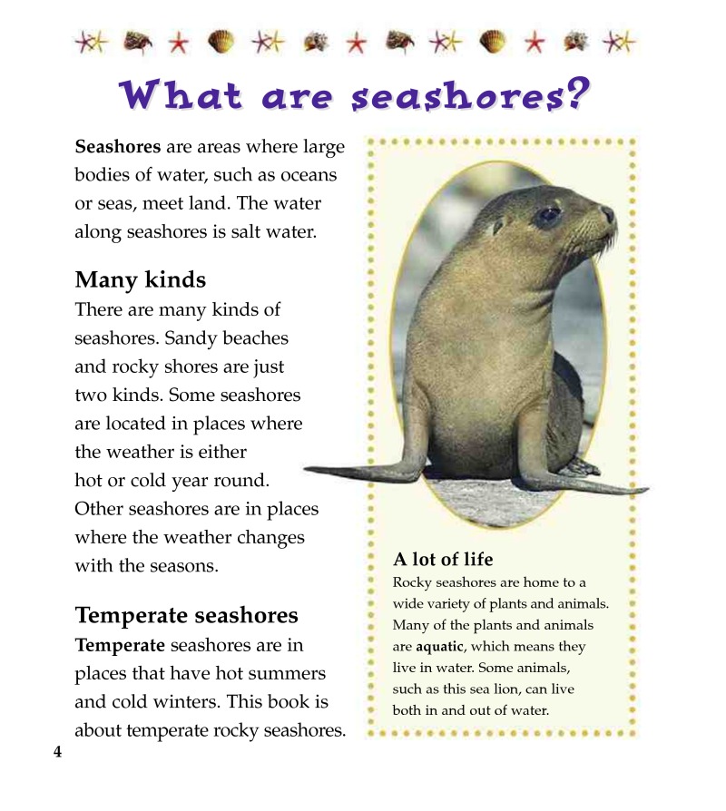 Seashore Food Chains — page 1