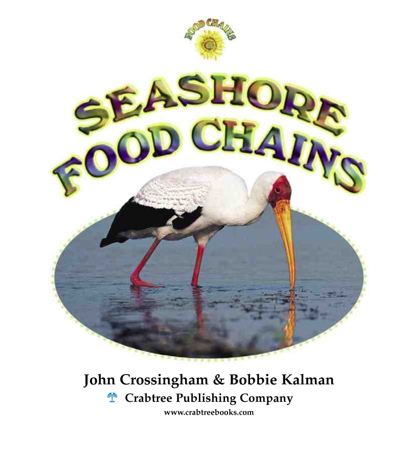 Seashore Food Chains book cover