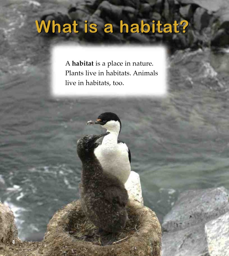The Antarctic Habitat — page 1