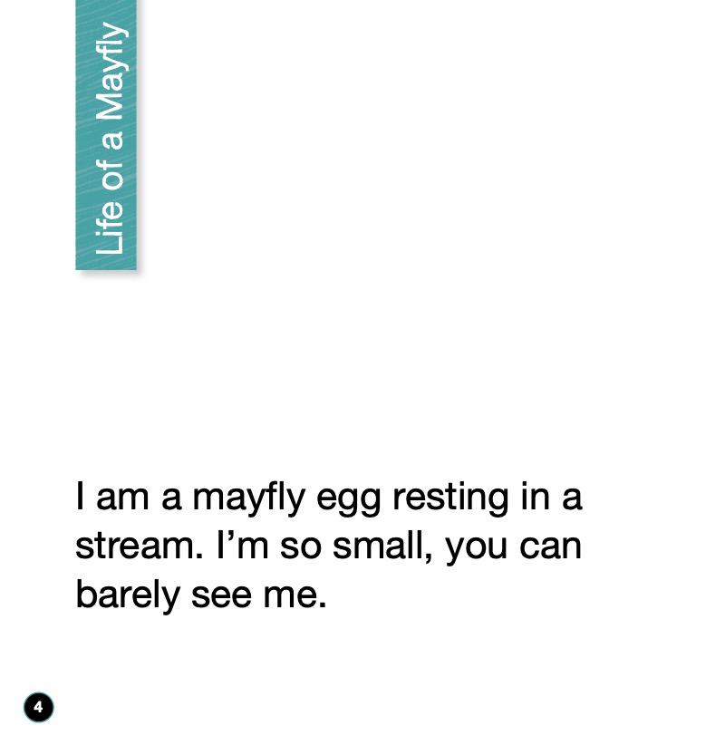 My Life Cycle: Mayfly — page 1