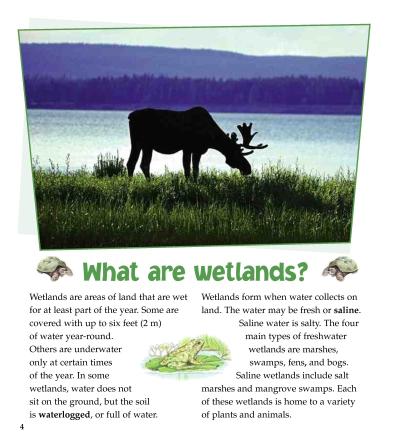What are Wetlands? — page 1