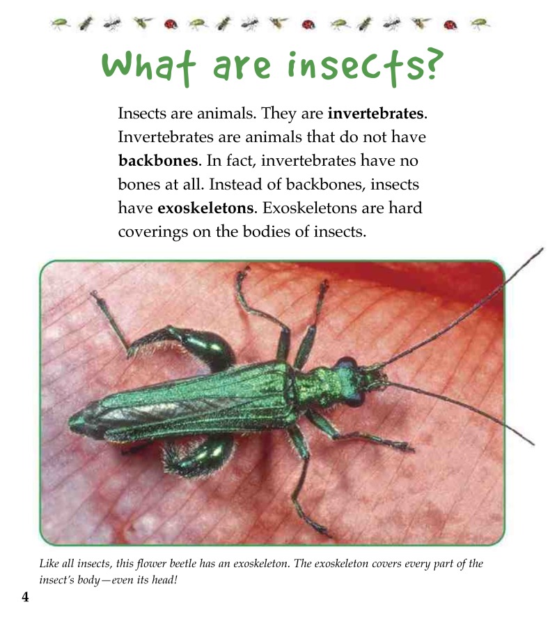 Insect Defenses — page 1
