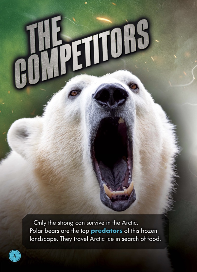 Animal Battles: Polar Bear vs. Walrus — page 1