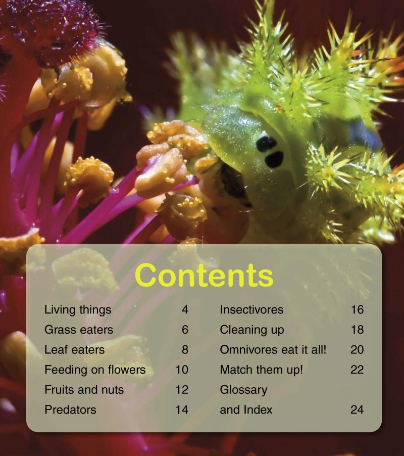Rapping About What Animals Eat book cover