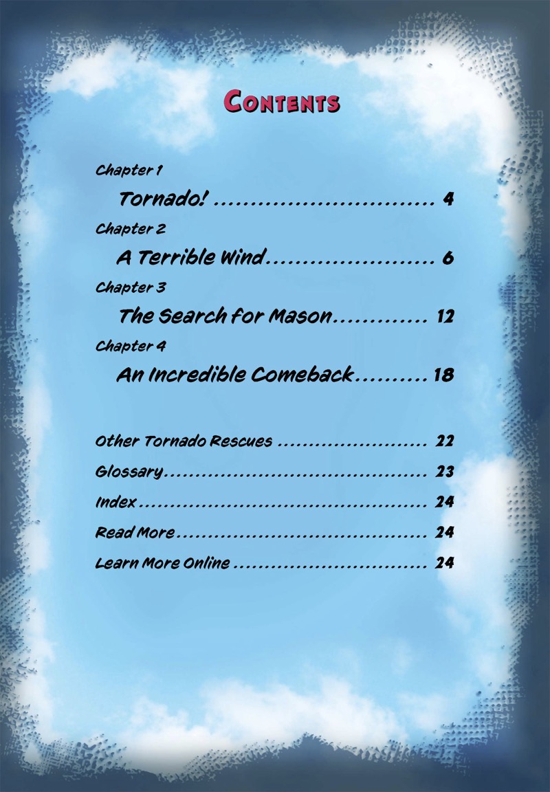 Mason versus the Tornado: Dog Rescue! book cover