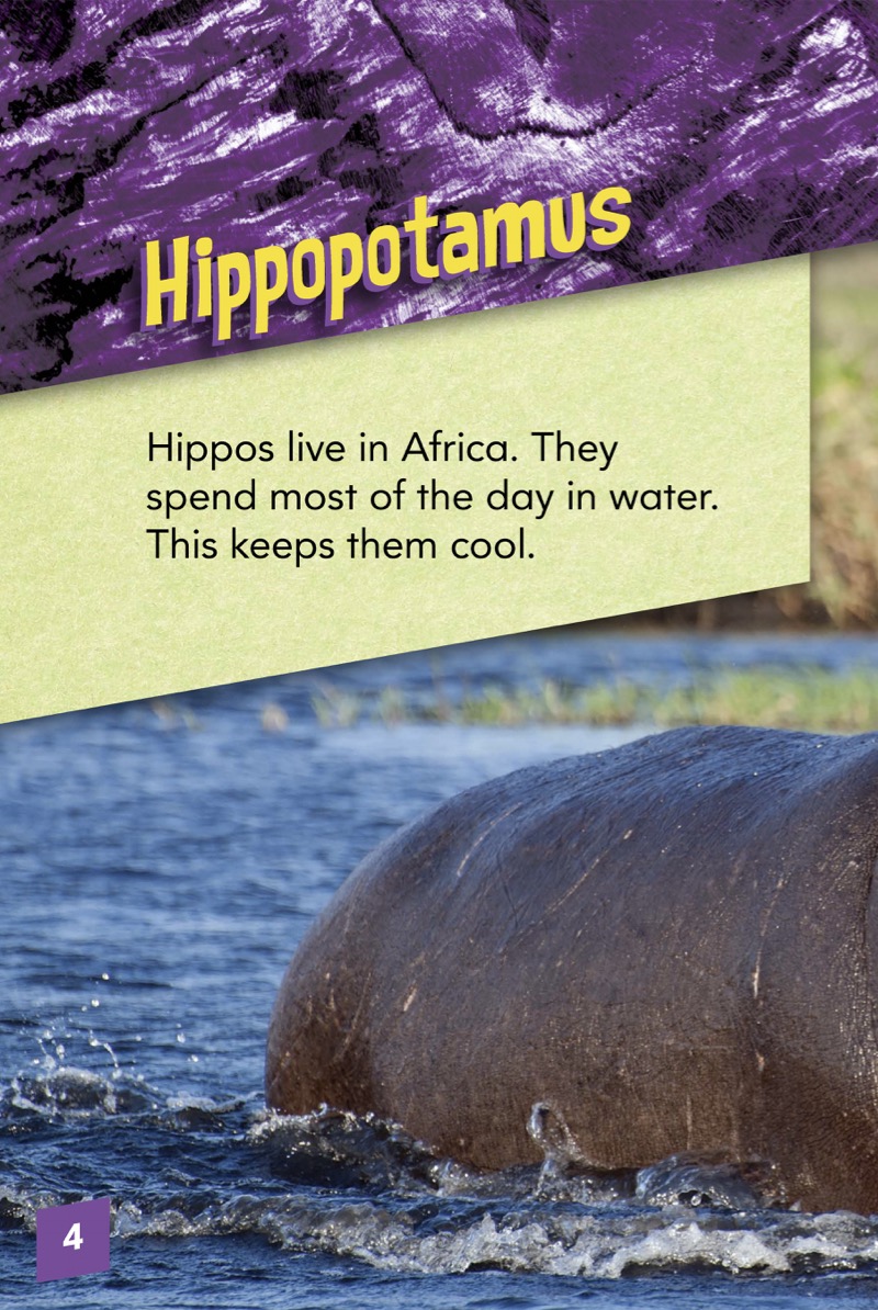 Animals with Bite: Hippopotamus — page 1