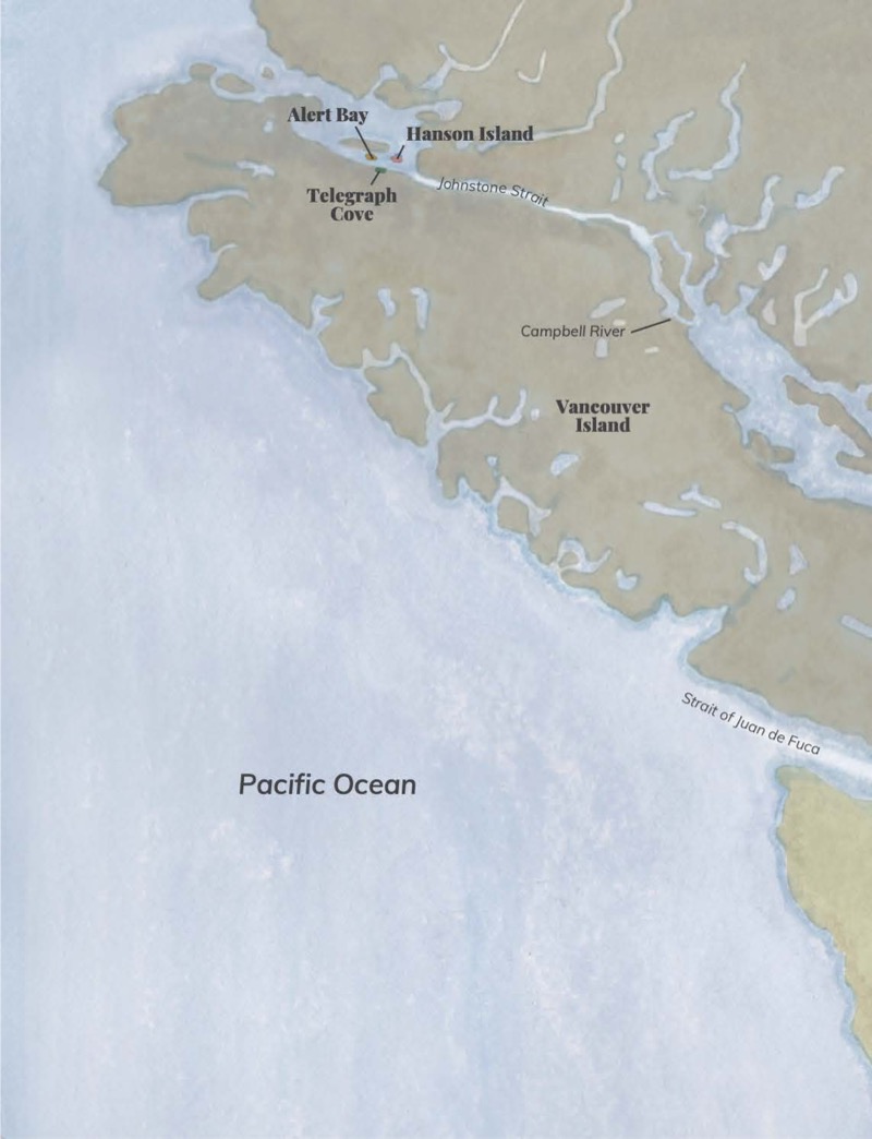 Orca Rescue!: The True Story of an Orphaned Orca Named Springer — page 1