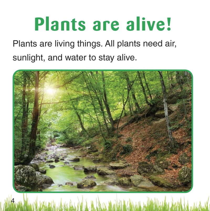 How Do Plants Survive? — page 1