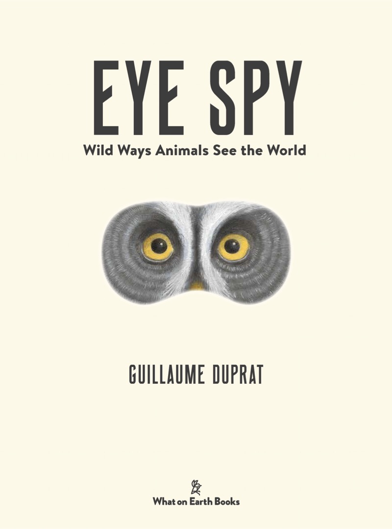 Eye Spy book cover