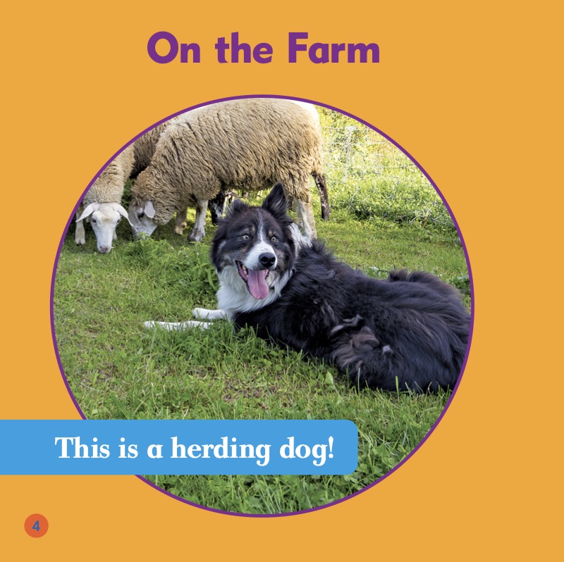 Dogs on Duty: Herding Dogs — page 1