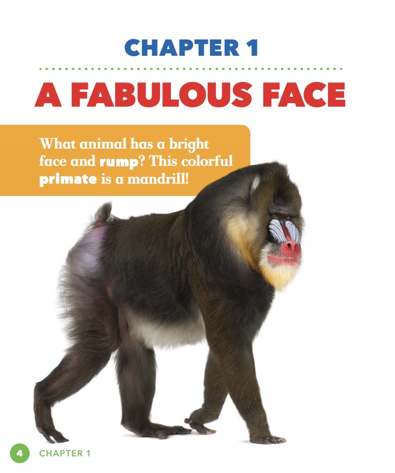 Science Behind the Colors: Mandrills — page 1