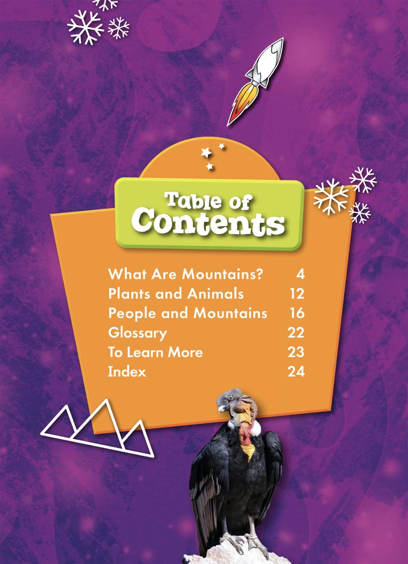 Our Planet Earth: Mountains book cover