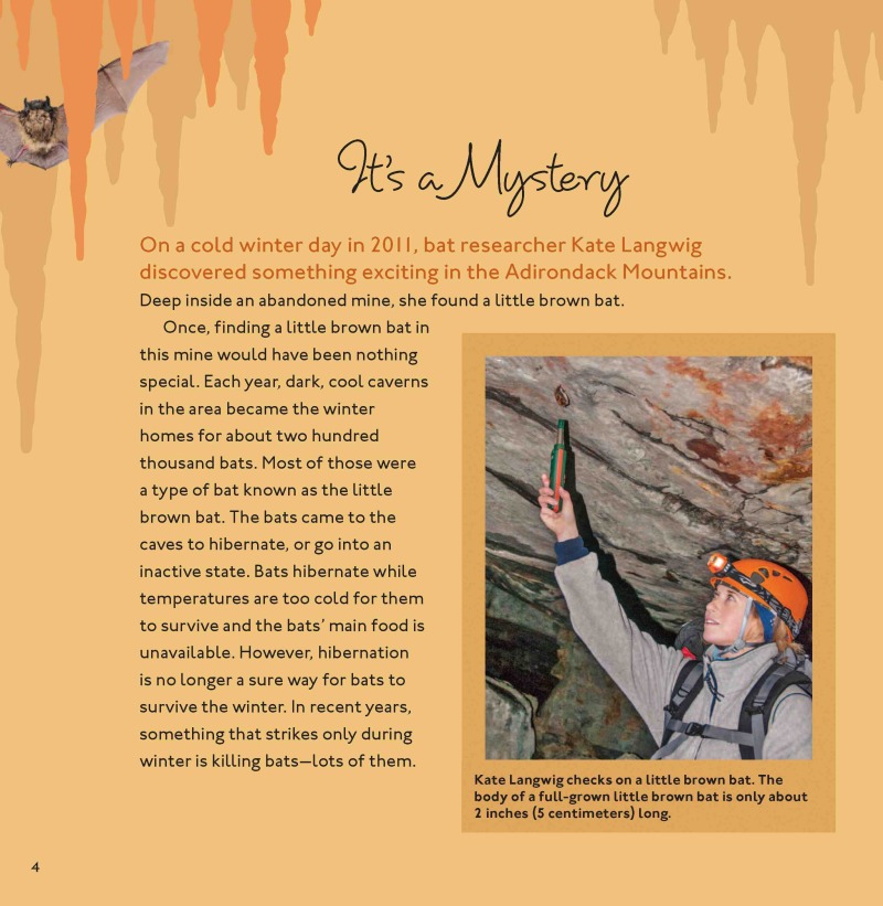 The Case of the Vanishing Little Brown Bats: A Scientific Mystery — page 1