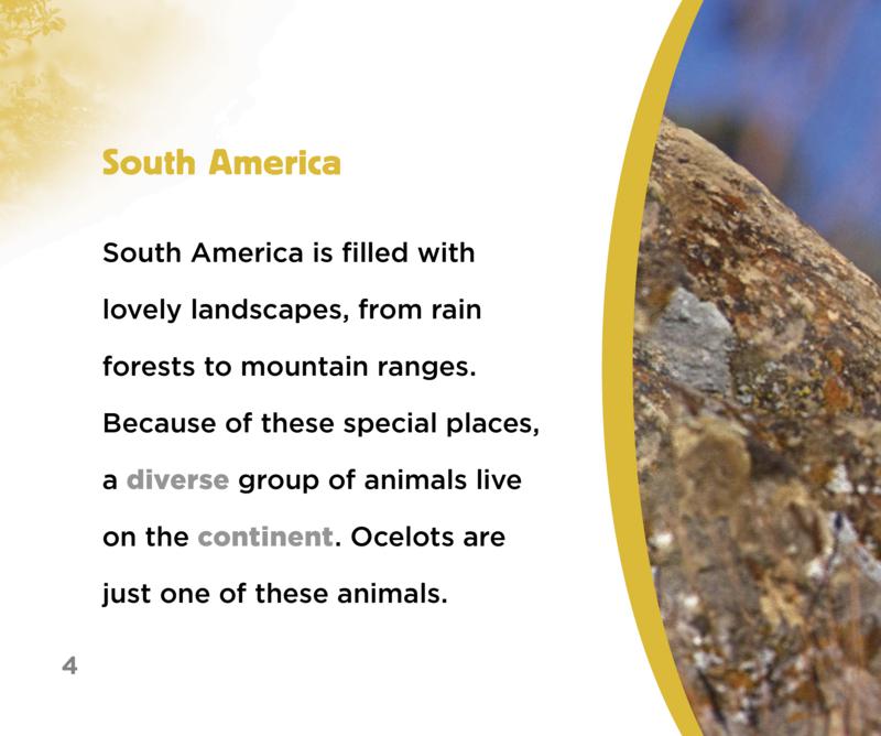 South American Animals: Ocelot — page 1
