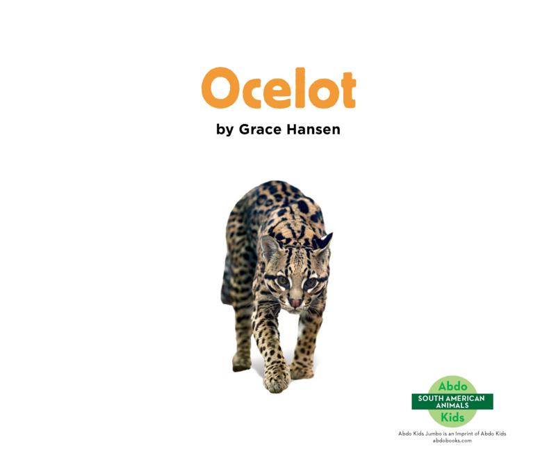 South American Animals: Ocelot book cover