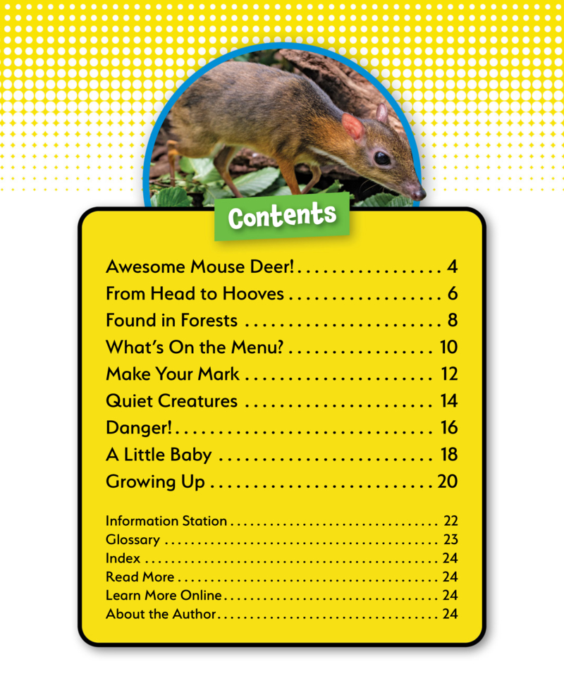 Awesome Animals: Mouse Deer book cover