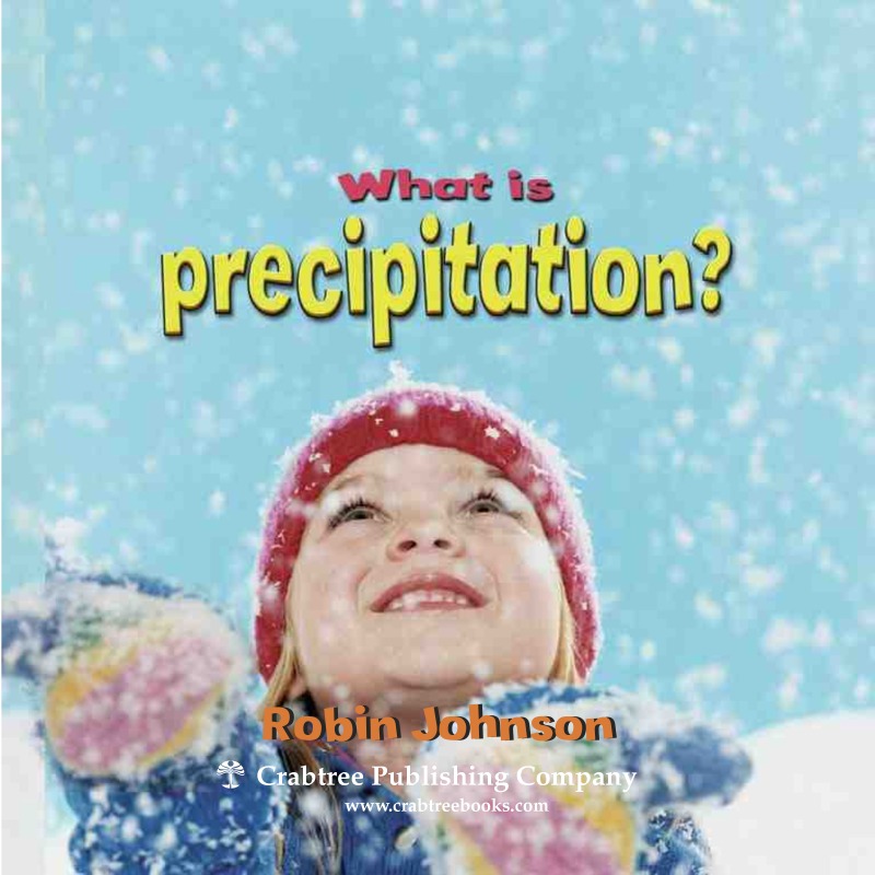 What is Precipitation? book cover