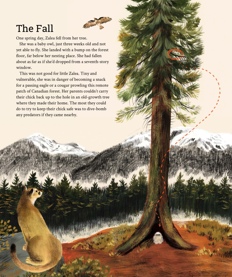 Saving the Spotted Owl: Zalea’s Story — page 1