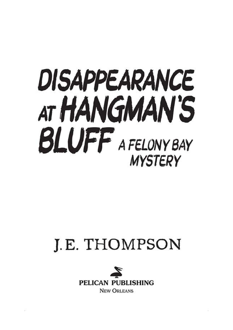 Disappearance at Hangman's Bluff book cover