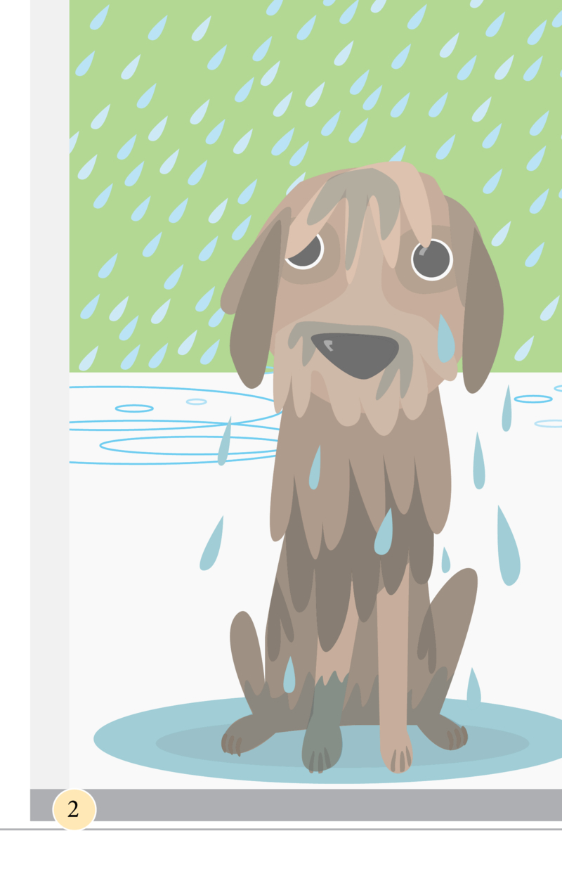 We Can Readers: Wet Dog — page 1