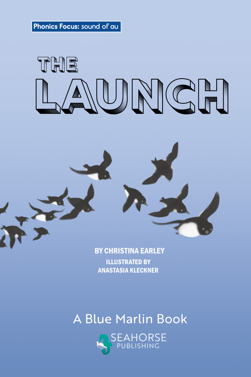 Phonics Focus: The Launch book cover