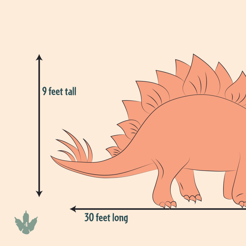 Stegosaurus — page 1