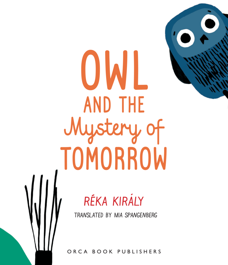 Owl and the Mystery of Tomorrow book cover